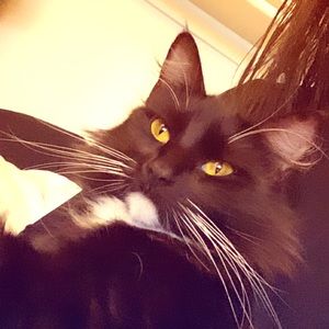 Meet your Posher, Heather